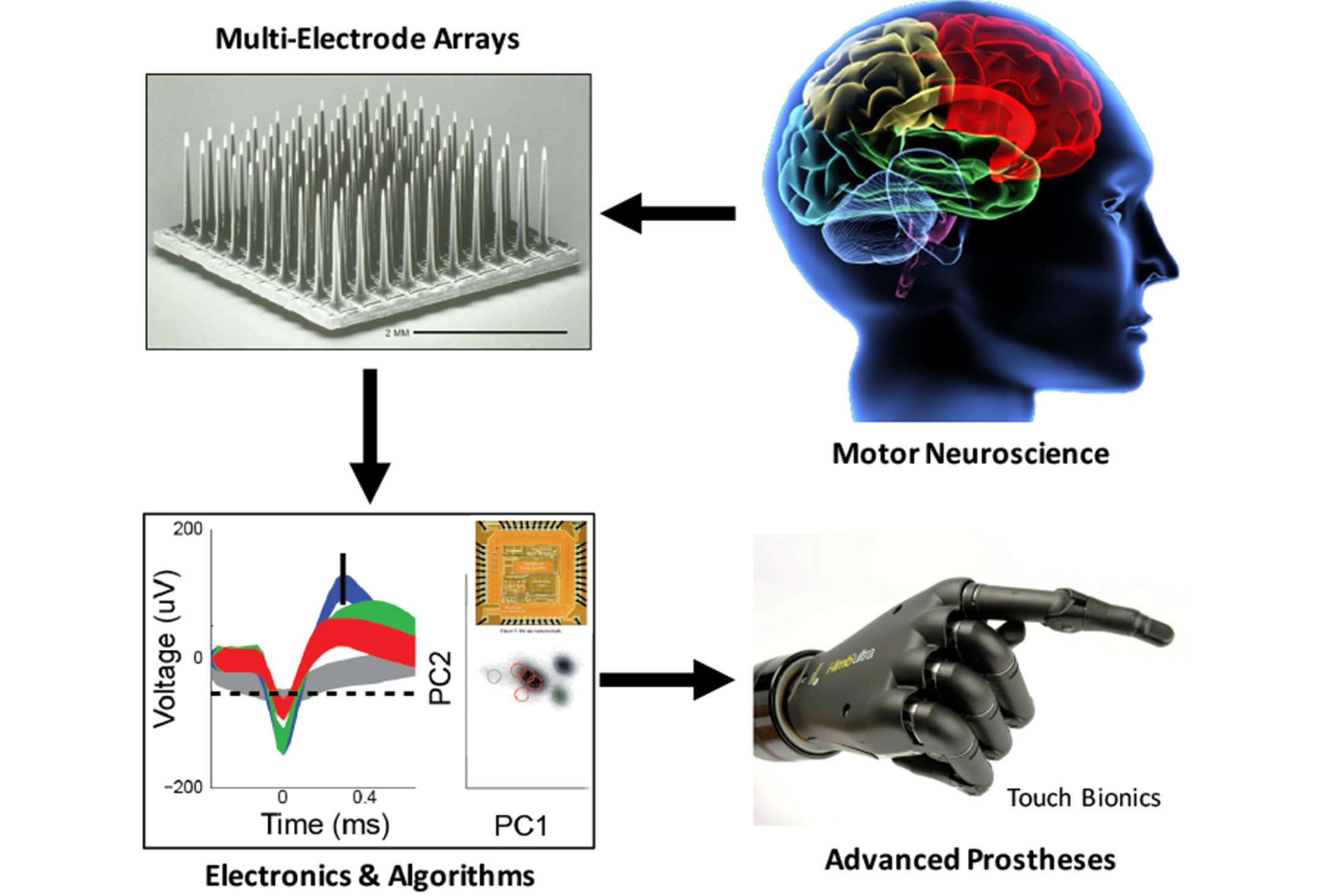 Overview of Brain Machine Interface research happening at BI